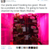 Skota Kellija Twitter ziņa, ka dārzs ir briesmās