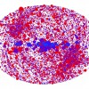 XMM-Newton objektu karte