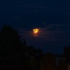 Oranžas nokrāsas Mēness ( nākamā diena pēc Blood Moon )