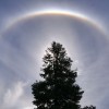 Saules halo