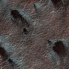 12122007_03.jpg