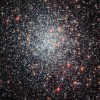 NGC 1783