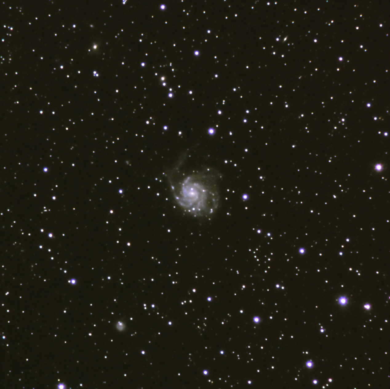 M 101. SN 2011fe.jpg