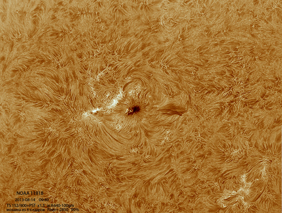 Sun-Ha_130814_acA640-100gm_093947_4Fr_x1,5_color_90%.jpg