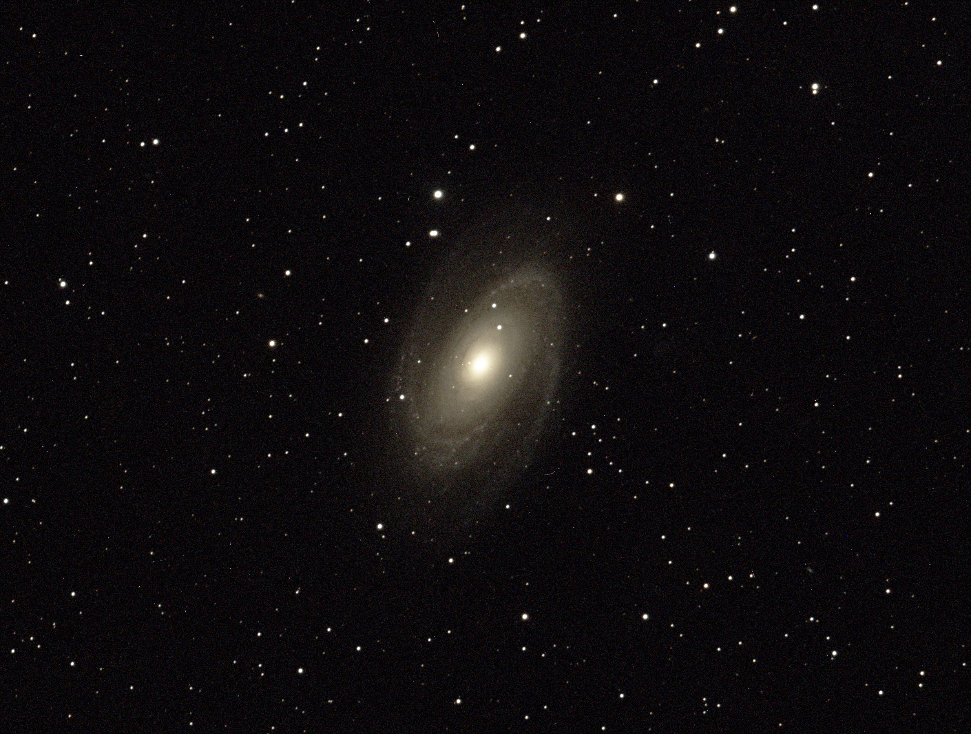 Calibrated-Color-T3-kobalts-M81-20140222-003839-Color-BIN1-W-600-001__PsEdit.jpg