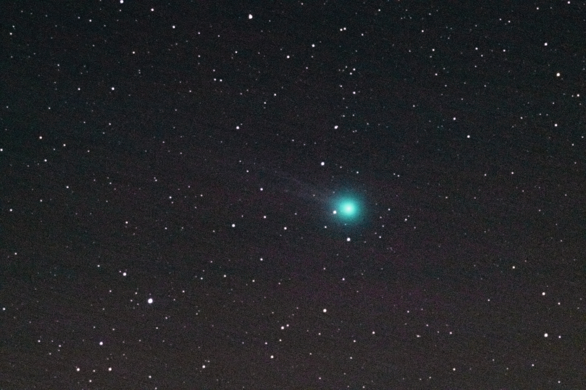 LOVEJOY 200MM.jpg