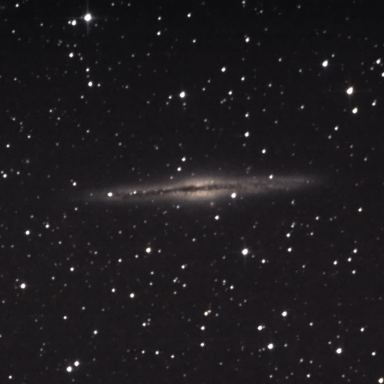 NGC891_30min_20090822_550.jpg