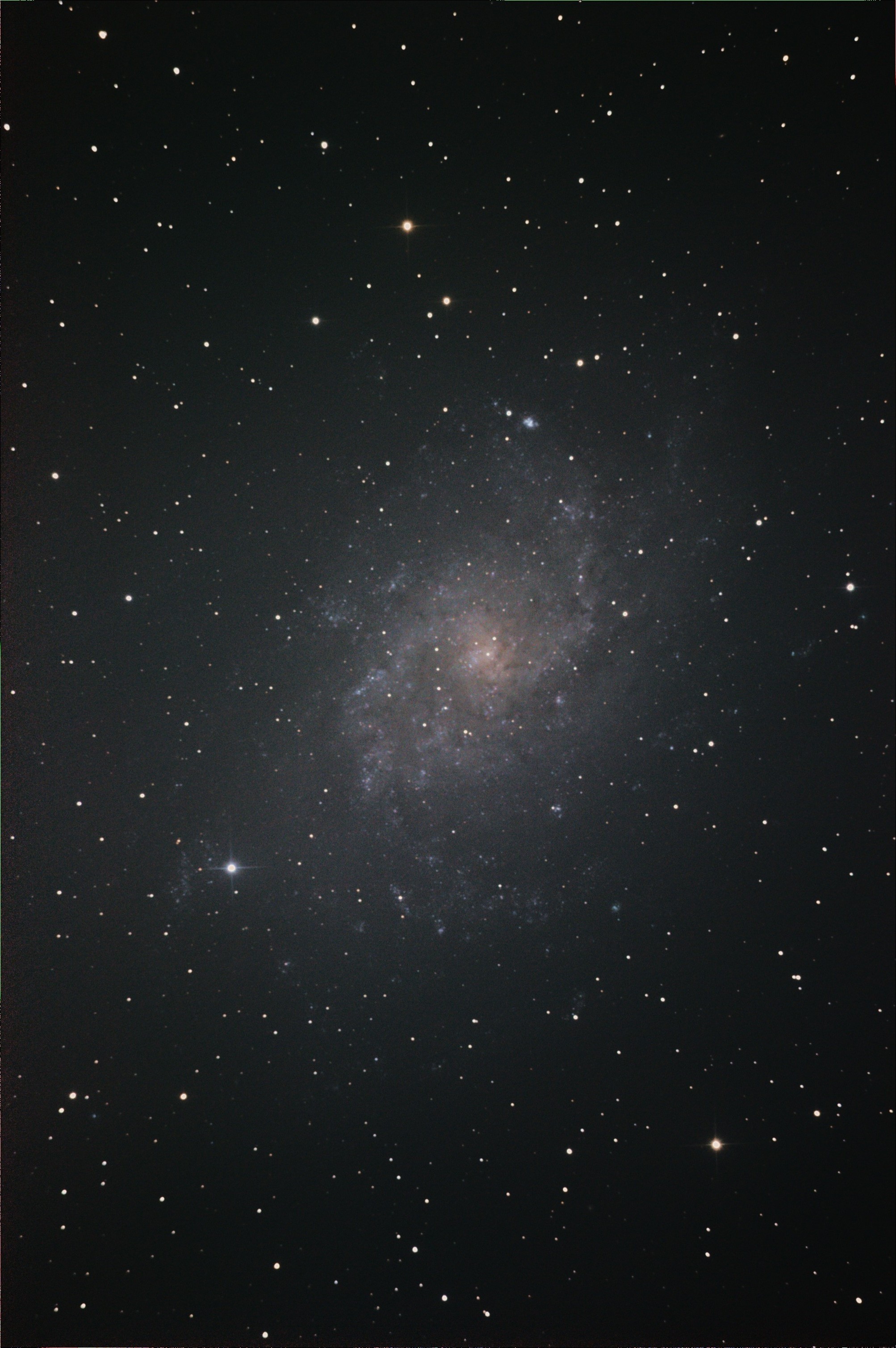 M33 AVG.jpg