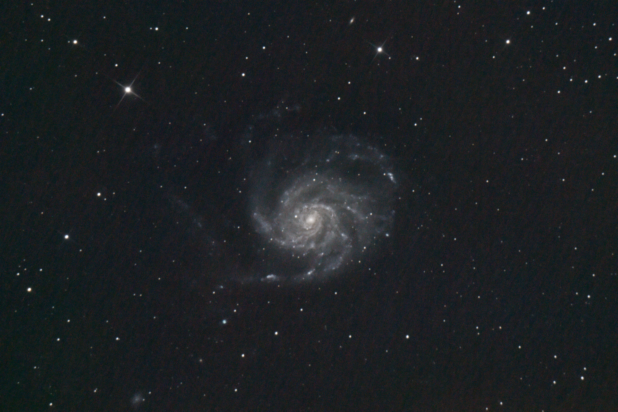 m101 135frames art.jpg