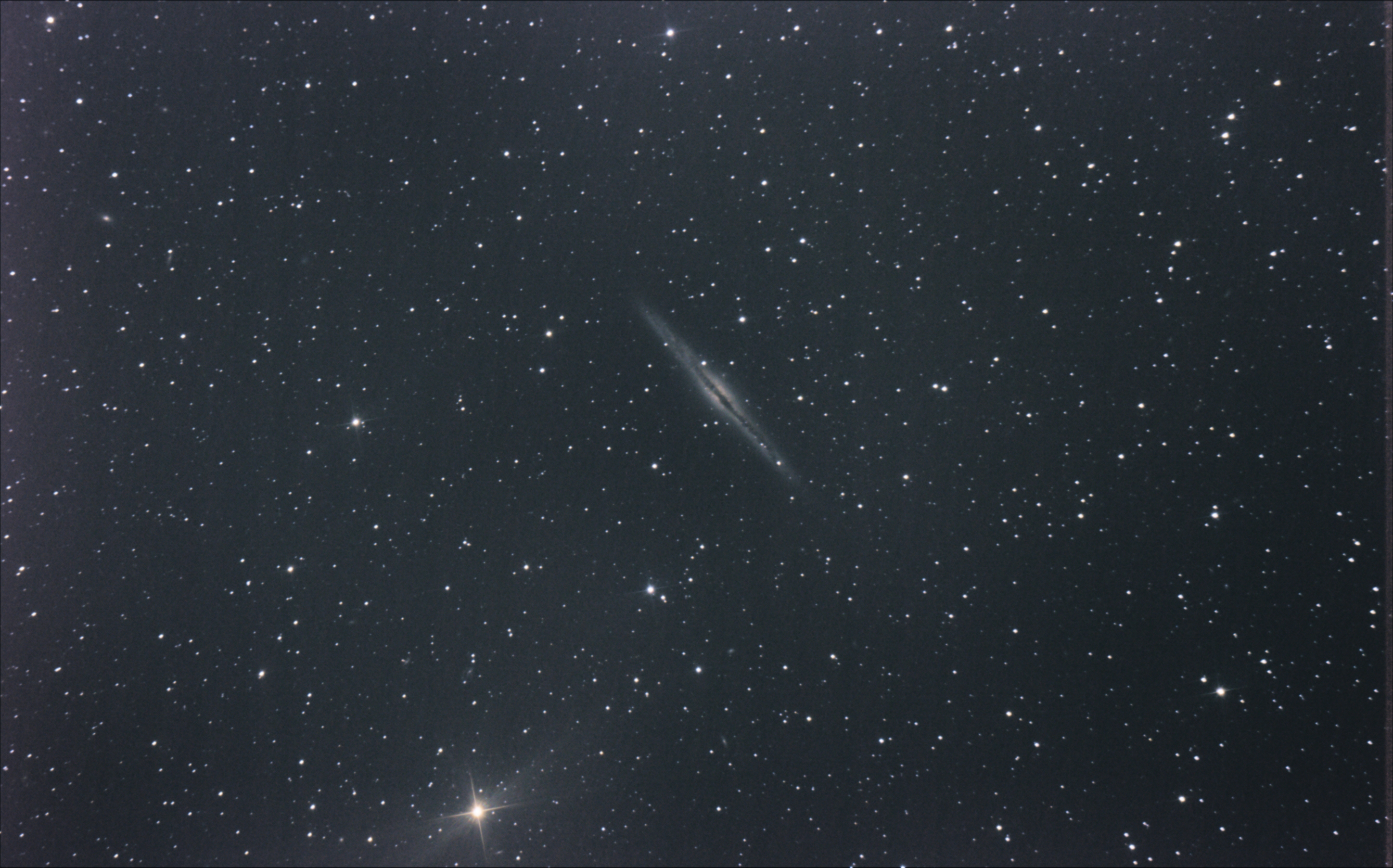 ngc891.jpg