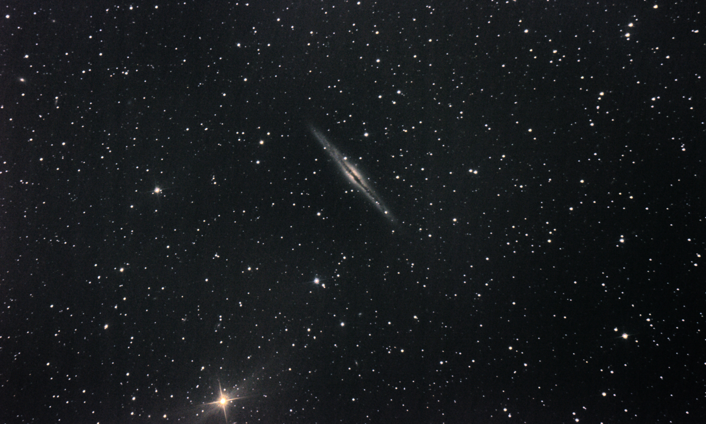 ngc891a.jpg