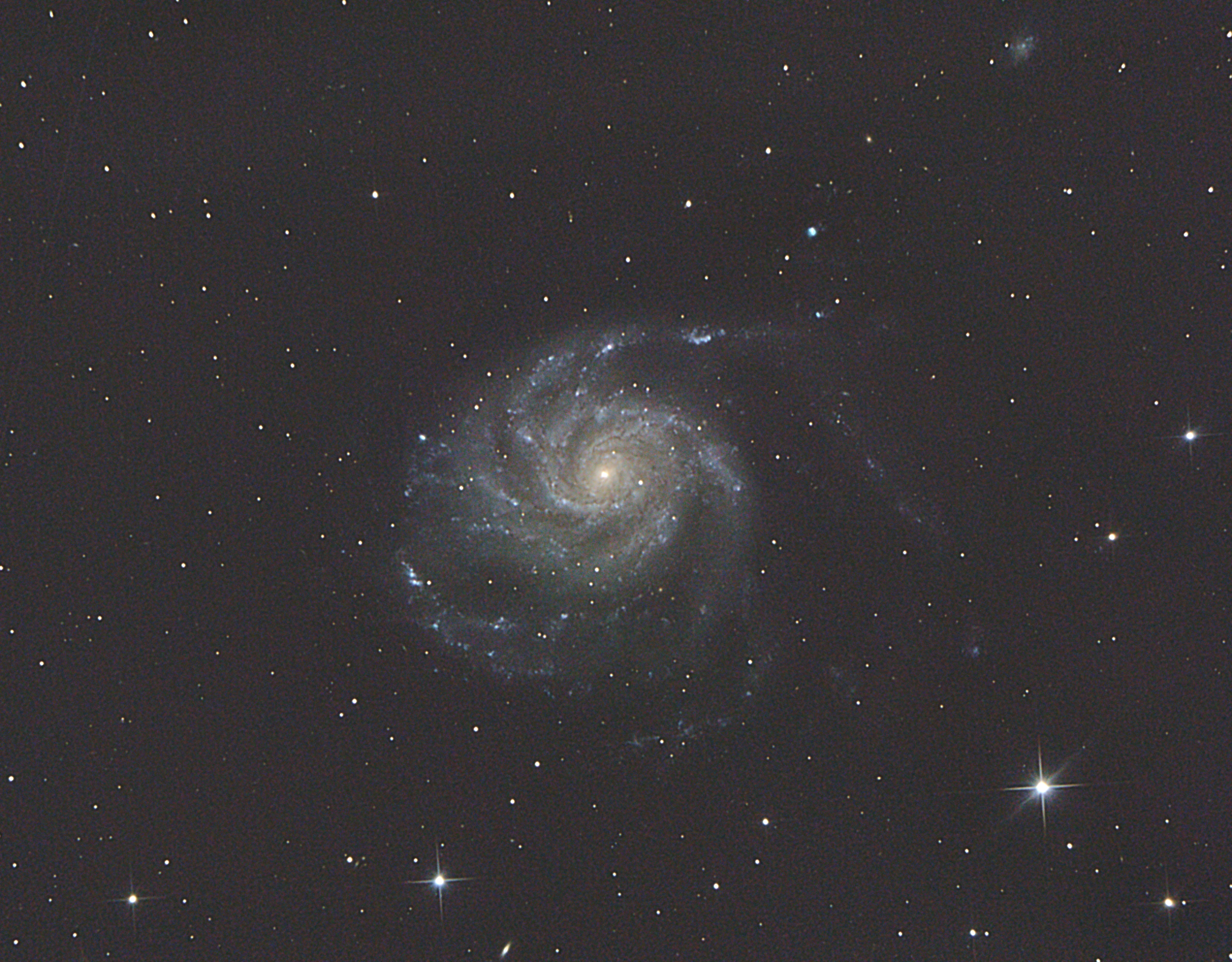 m101d.jpg