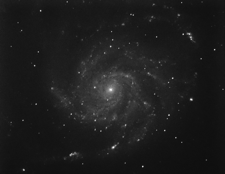 M101-L.jpg