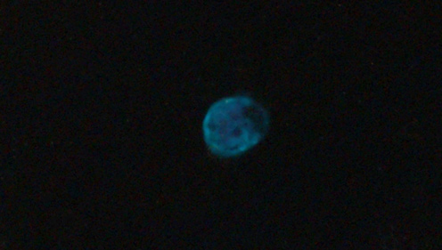 NGC_246_Skull_nebula.jpg