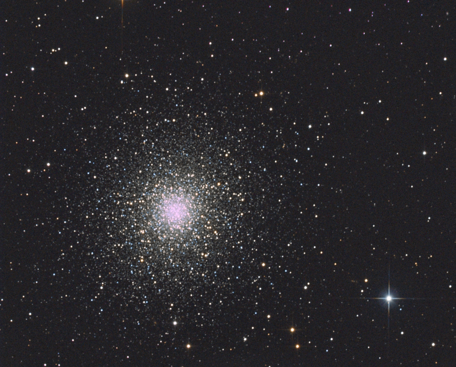 M13.jpg