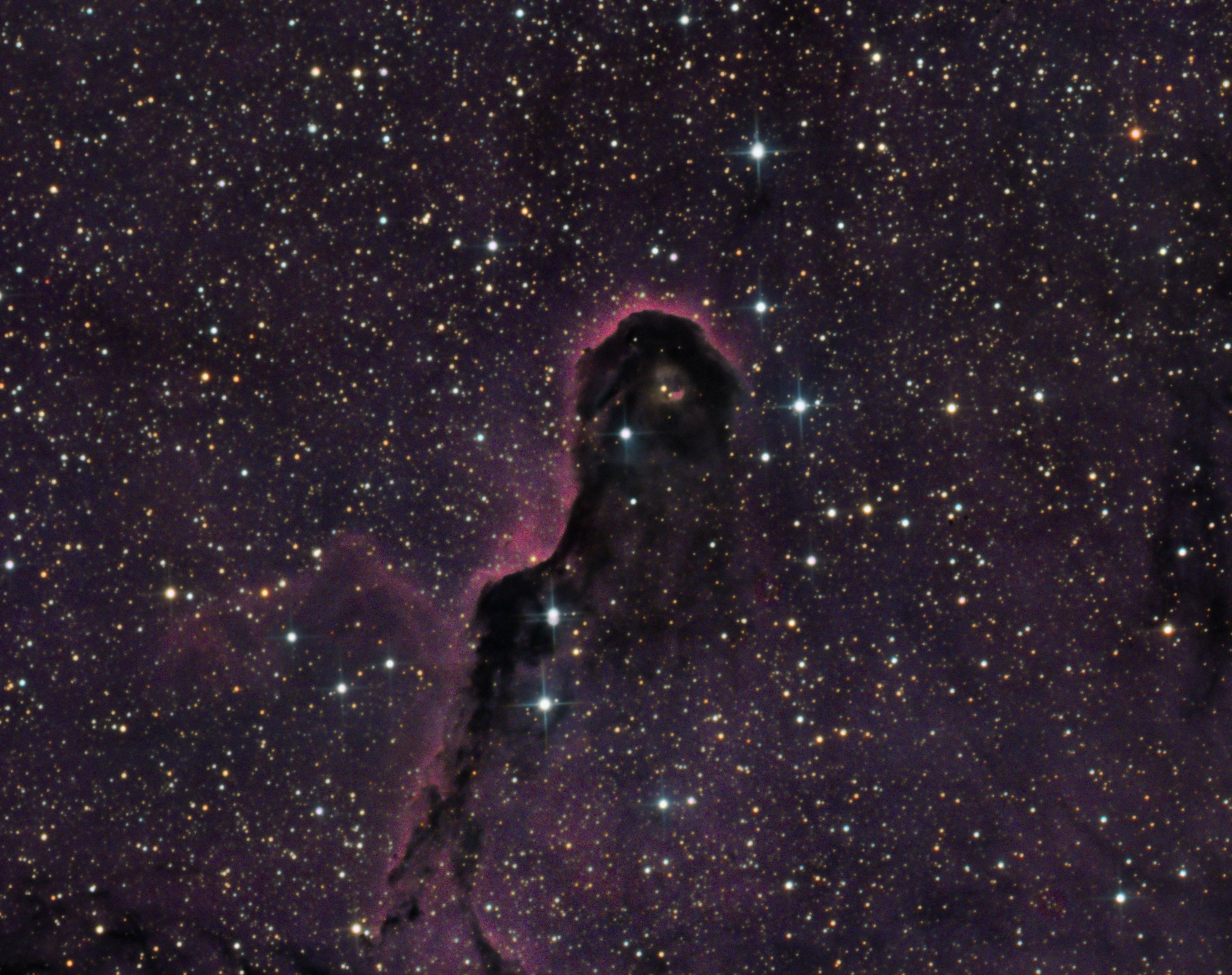 IC1396.jpg