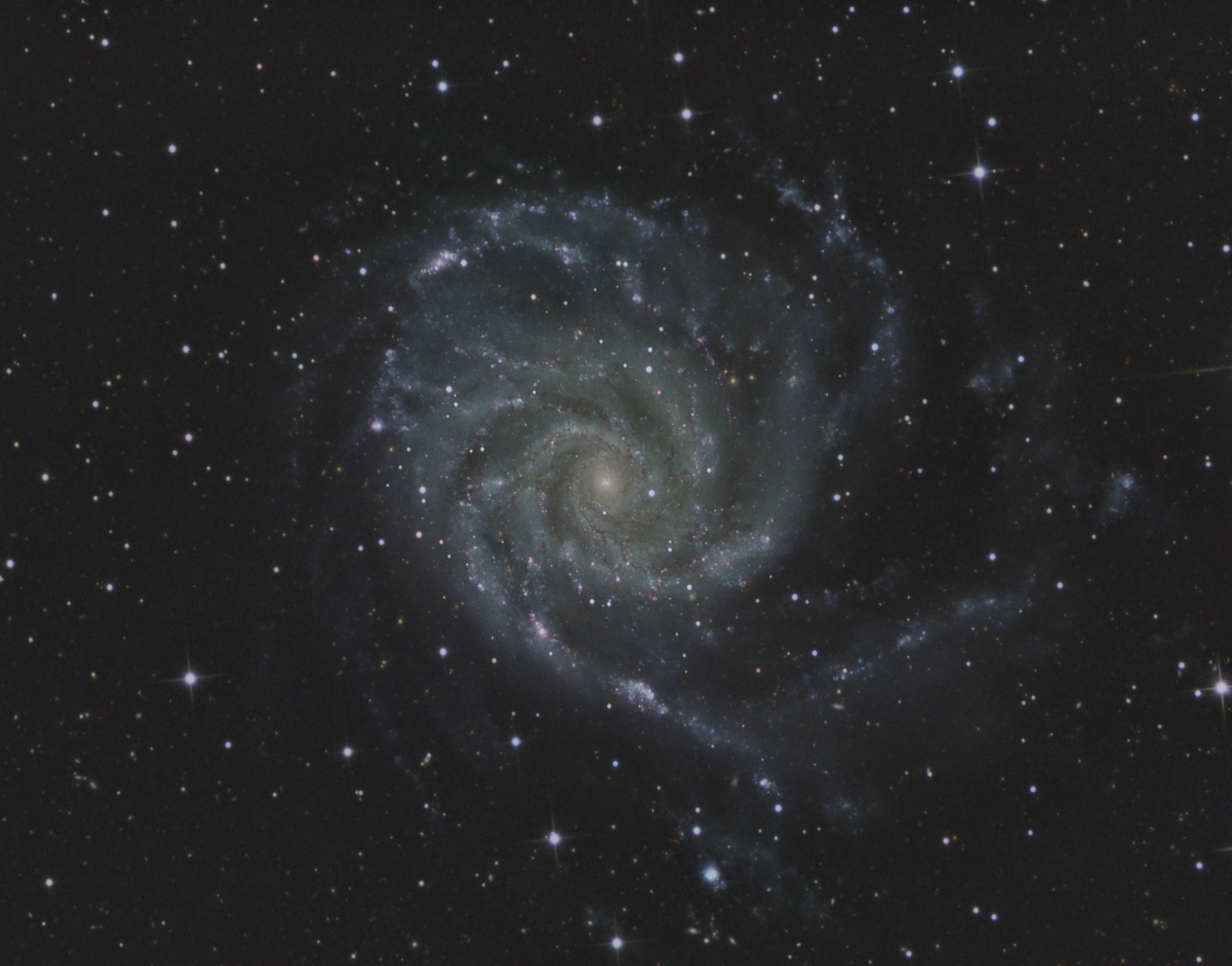 M101rgb.jpg