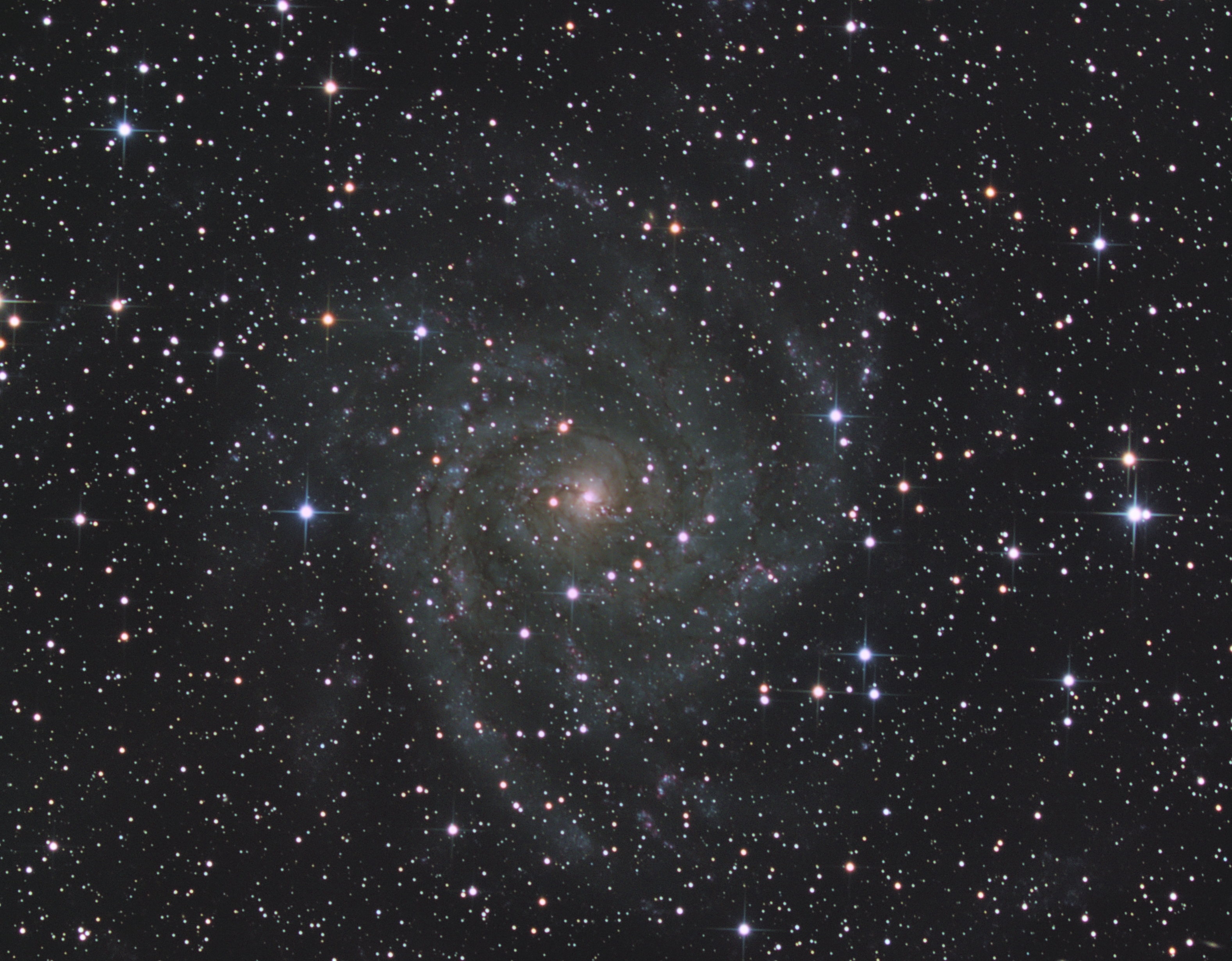 IC342v2.jpg