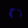 SN 1987A attīstība rentgenstaru diapazonā