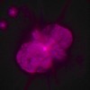 Eta Carinae 3D attēls (izmantojiet zili-sarkanās brilles)