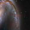 Galaktika NGC 2442