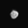 Plutona pavadonis Nikte