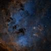 IC 410