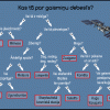 Kas tā par gaismiņu debesīs?