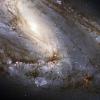M66 no Habla