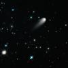 Skaistule ISON