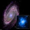 M81: melnā cauruma barošana