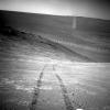 Opportunity un viesulis