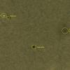 HiRISE un Phoenix