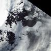 Antarktīdas austrumu daļā sabrūk ledus šelfs