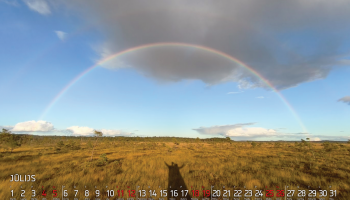 2026. gada kalendārs