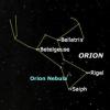 Orions, varenais mednieks