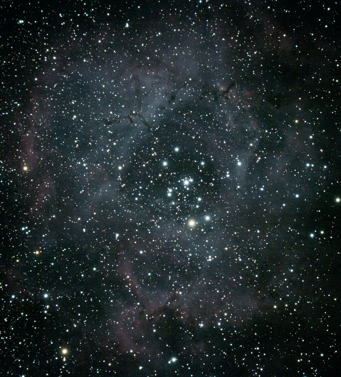 NGC2244.jpg