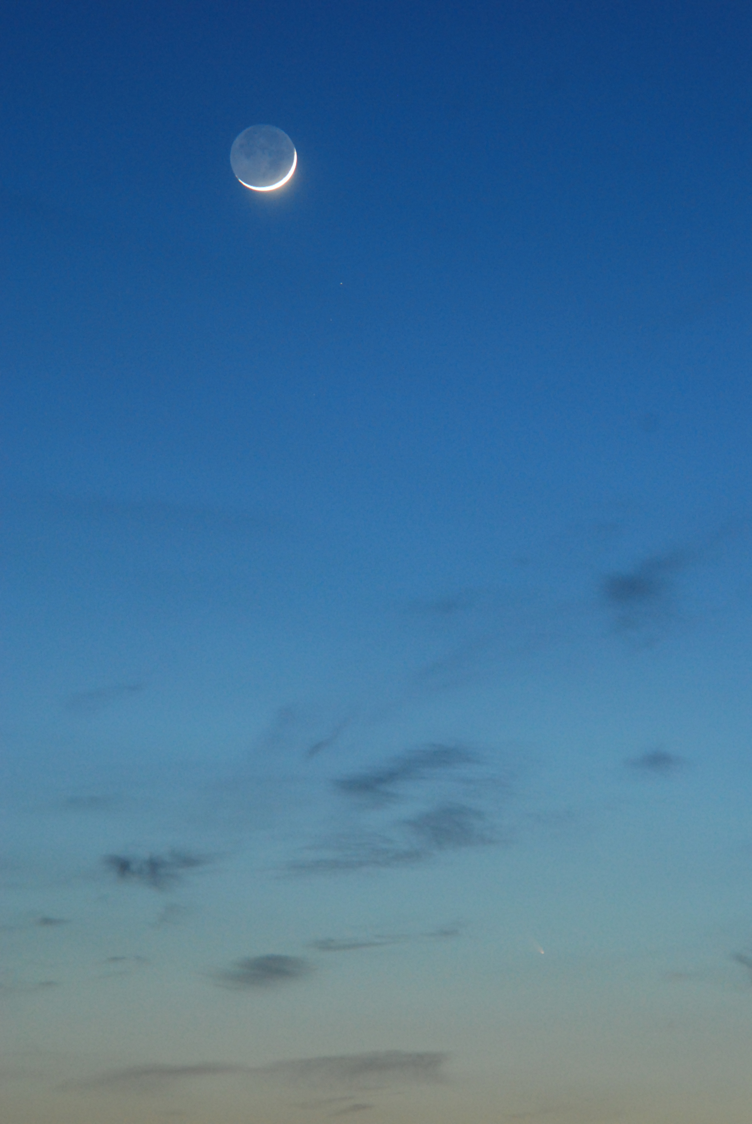 DSC_0110.jpg