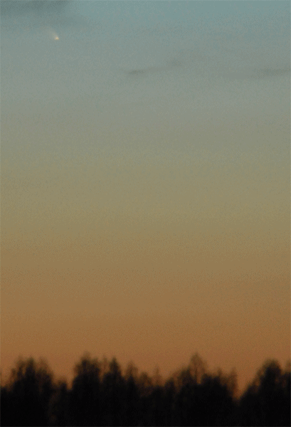 DSC_0118.gif
