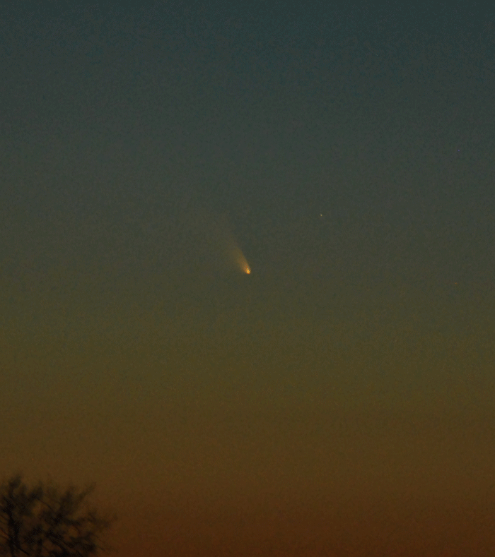 DSC_0180.gif