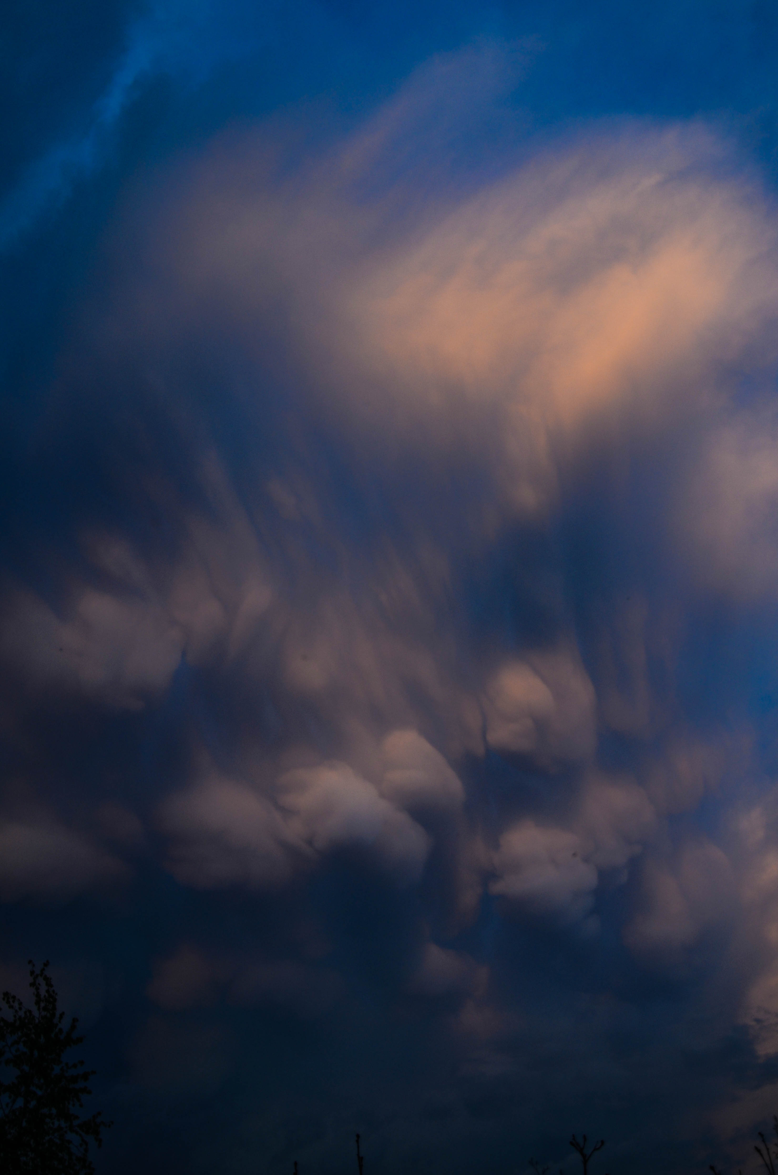 DSC_5256.jpg