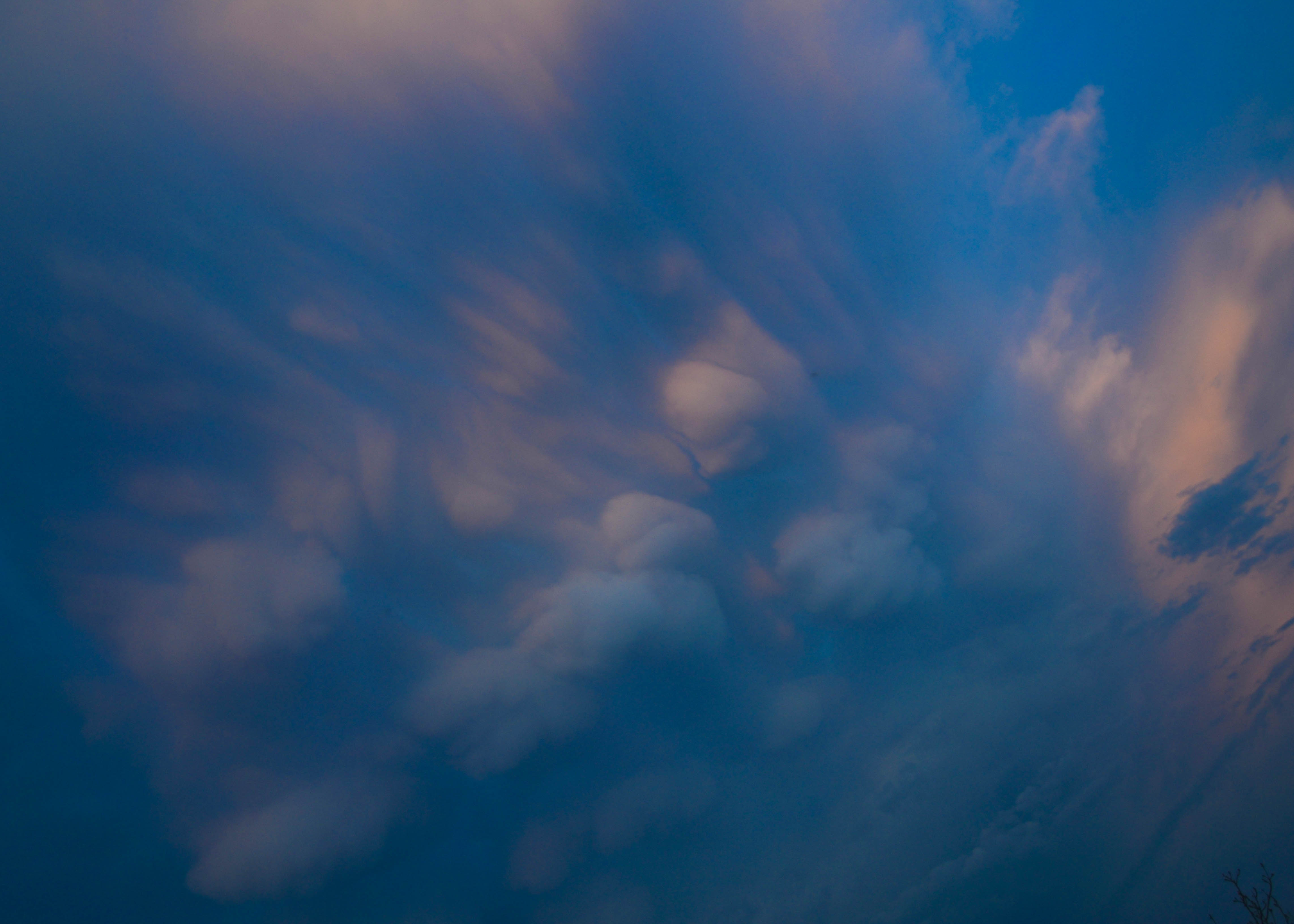DSC_5260.jpg
