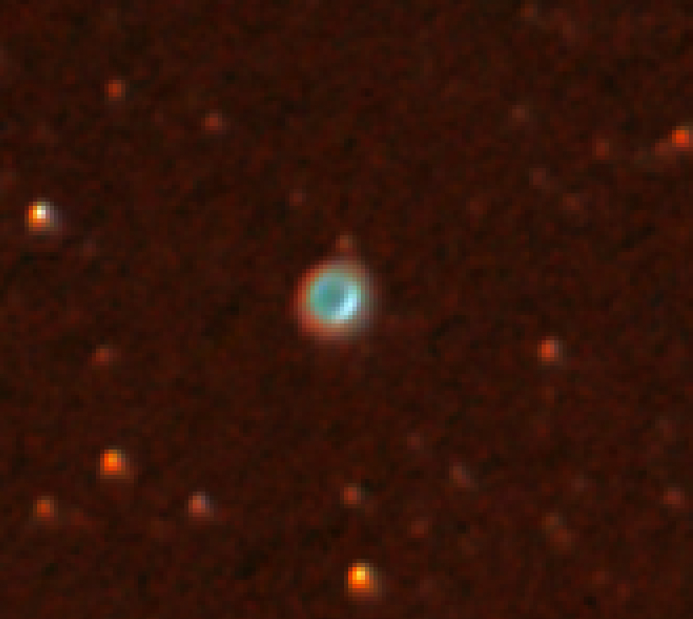 ring20crop.jpg