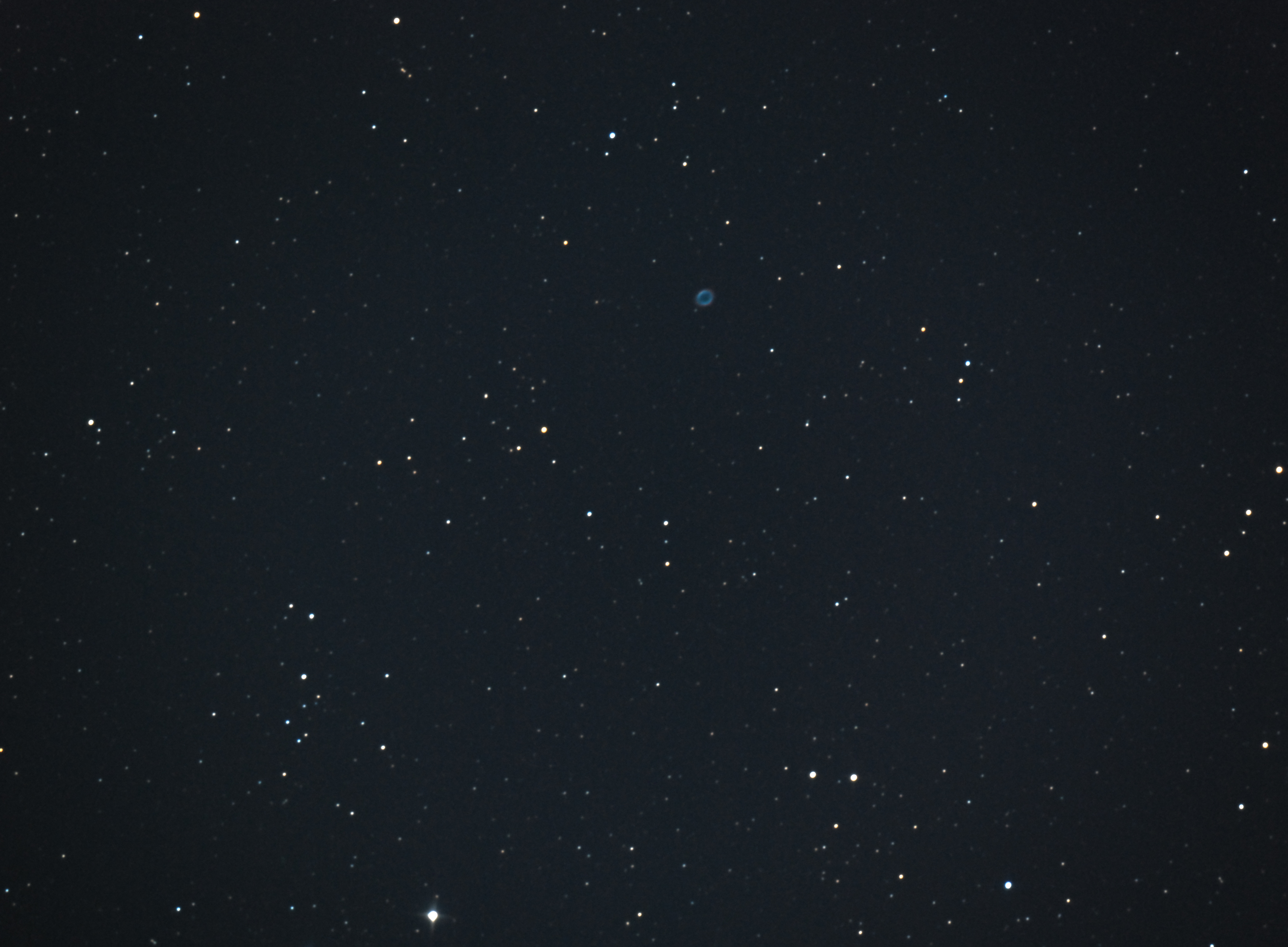 RL2 8 0.jpg