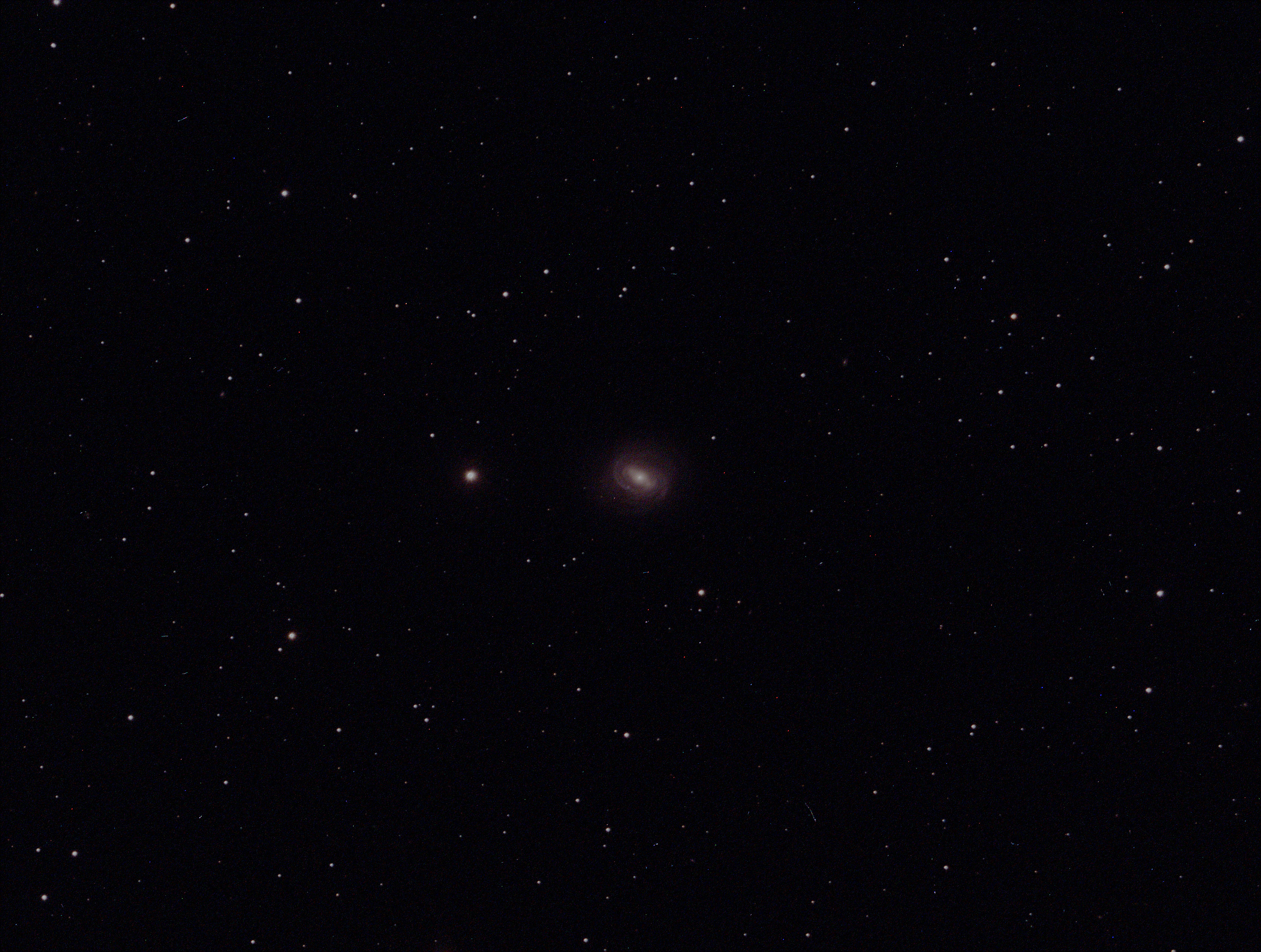 Calibrated-Color-T3-kobalts-M58-20140405-011848-Color-BIN1-W-600-001mdl.jpg