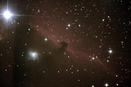 Horse_17m_550b.jpg