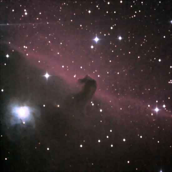 Horse_17m_550c.jpg