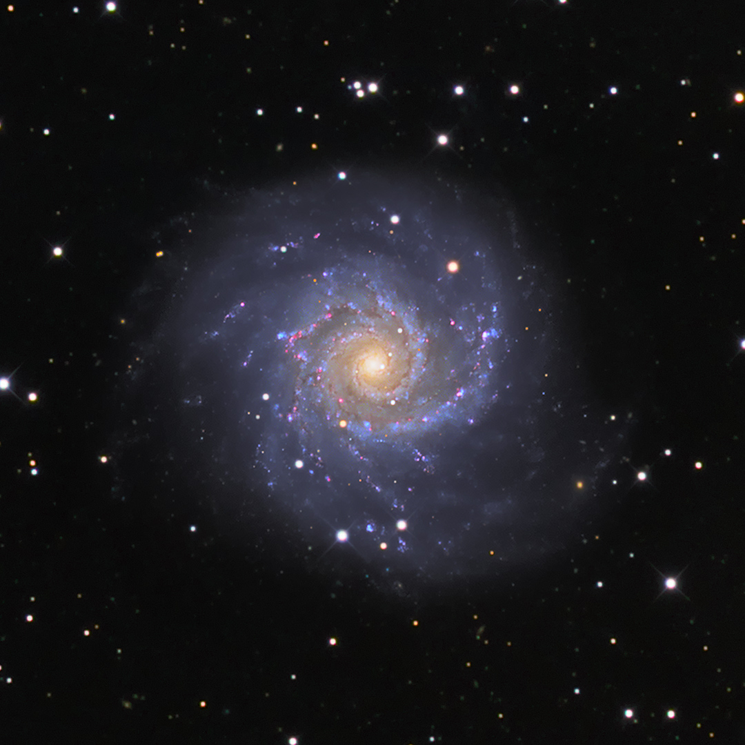 M74_FINAL_Web_crop.jpg