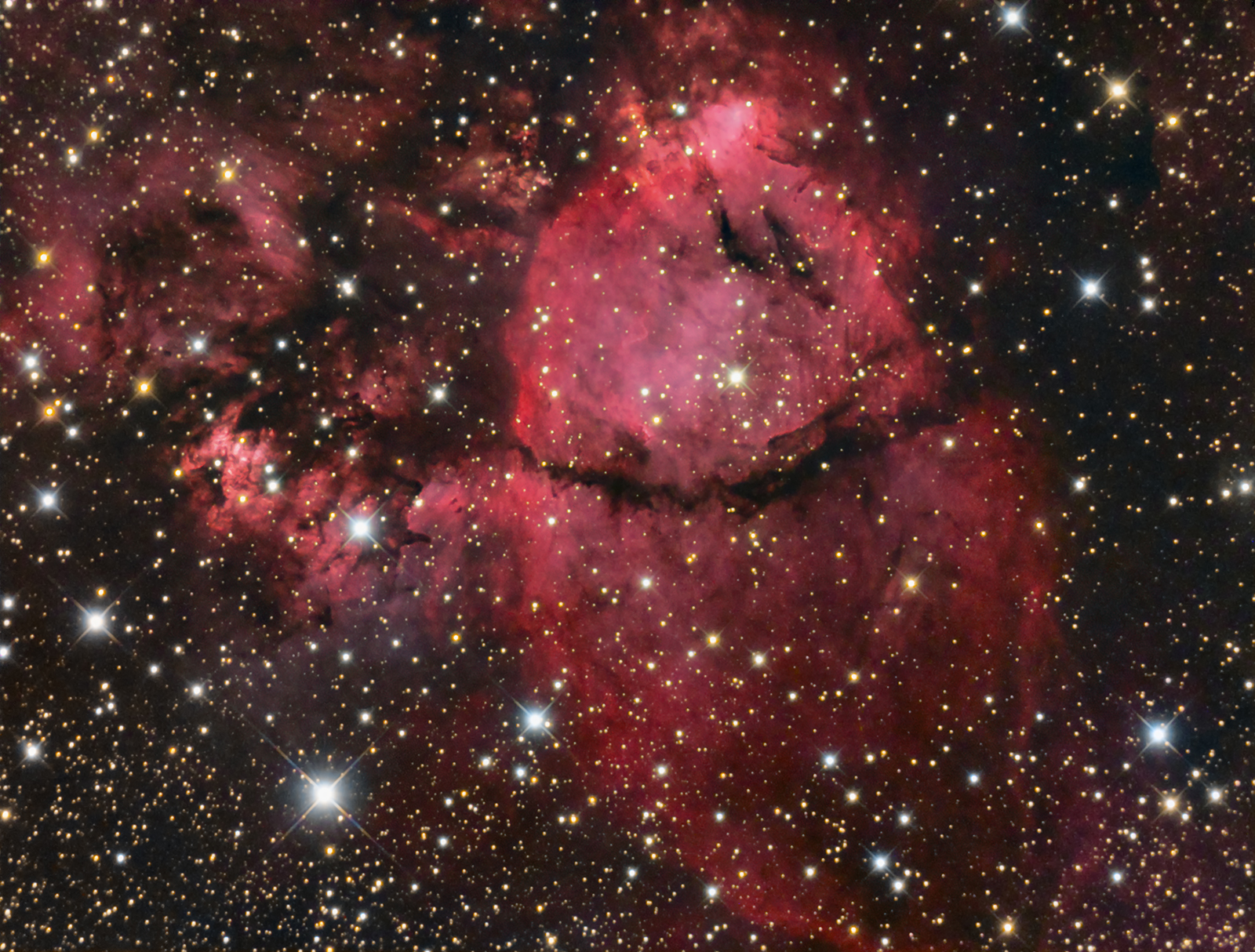 IC1795_FINAL_web.jpg