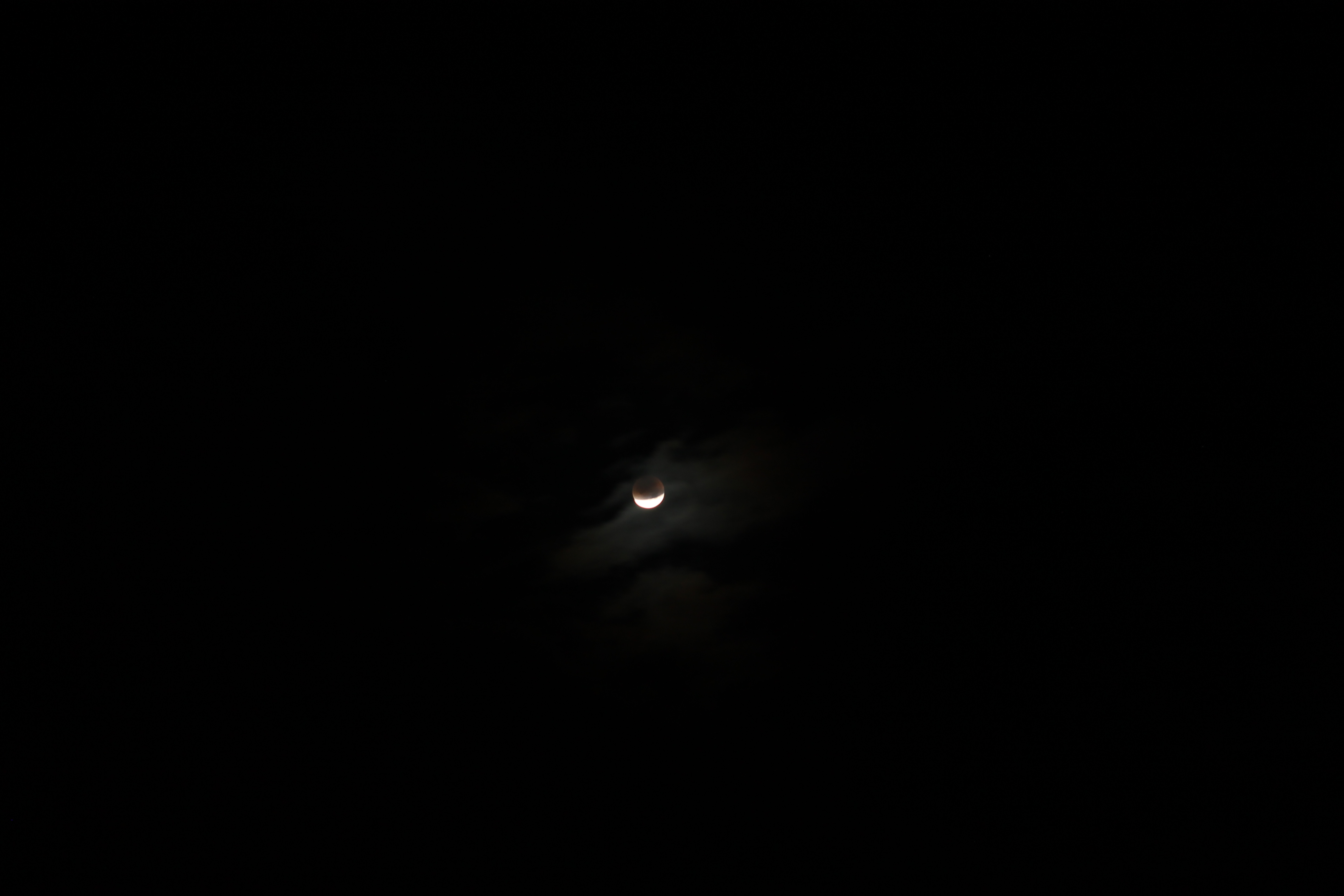 IMG_6775.JPG